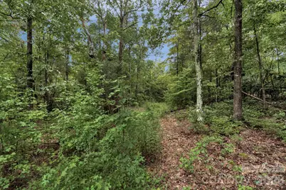 00 Mountain Road, Cleveland, NC 27013 - Photo 20