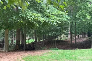 128 Maxamy Ln, Mooresville, NC 28117 - Photo 14
