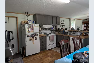 29 Herschel King Drive, Candler, NC 28715 - Photo 6