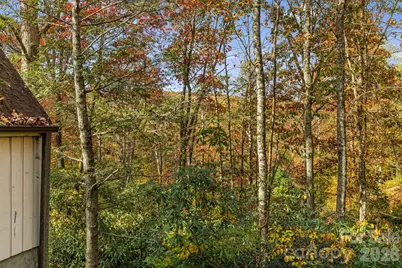 425 Bob Barnwell Road, Asheville, NC 28803 - Photo 42