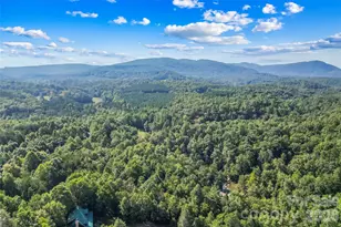 314 Old Mill Rd, Nebo, NC 28761 - Photo 34