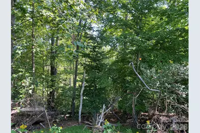 615 Vine Arden Road, Morganton, NC 28655 - Photo 6