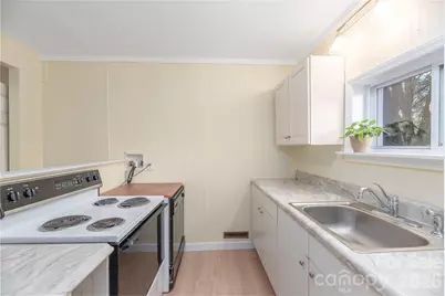 223 Davidson Road, Swannanoa, NC 28778 - Photo 20