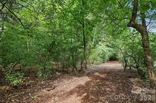 12826 Rusty Blackbird Wy, Charlotte, NC 28278 - Photo 46