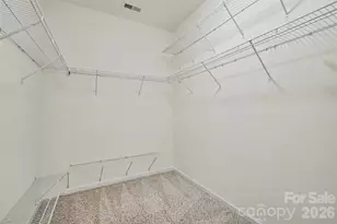 12826 Rusty Blackbird Wy, Charlotte, NC 28278 - Photo 28
