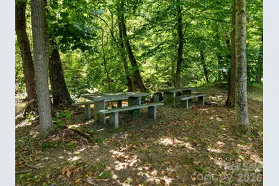 6306 Pigeon Road, Canton, NC 28716 - Photo 8