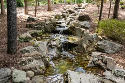 17 Falling Waters Trail, Arden, NC 28704 - Photo 38