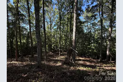 9999 Elk Ridge Drive #Parcel B, Asheville, NC 28804 - Photo 18