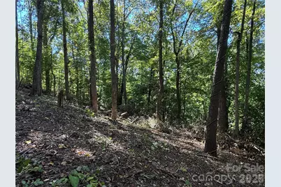 9999 Elk Ridge Drive #Parcel B, Asheville, NC 28804 - Photo 8