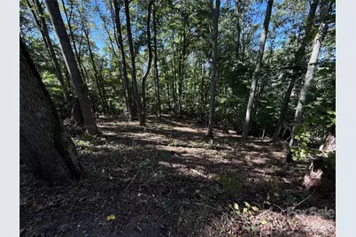 9999 Elk Ridge Drive #Parcel B, Asheville, NC 28804 - Photo 14