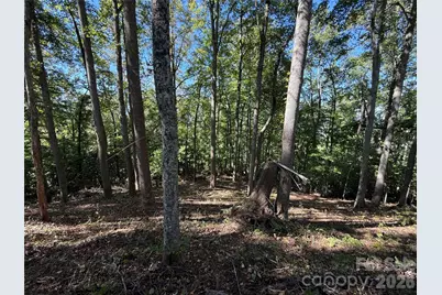 9999 Elk Ridge Drive #Parcel B, Asheville, NC 28804 - Photo 20