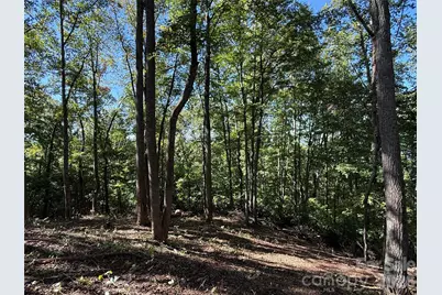 9999 Elk Ridge Drive #Parcel B, Asheville, NC 28804 - Photo 10