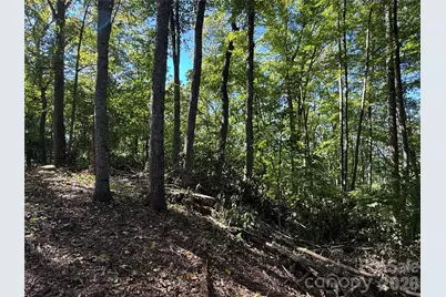 9999 Elk Ridge Drive #Parcel B, Asheville, NC 28804 - Photo 4