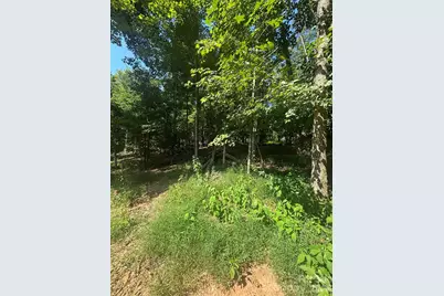 000 Pineview Court, Tryon, NC 28782 - Photo 2