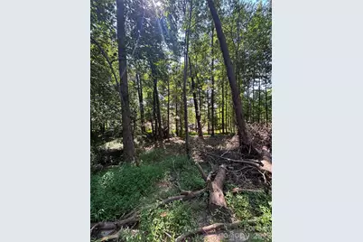000 Pineview Court, Tryon, NC 28782 - Photo 4