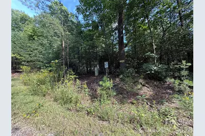 Tbd Wolf Pen Road #24, Purlear, NC 28665 - Photo 2