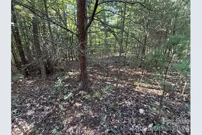 Tbd Wolf Pen Road #24, Purlear, NC 28665 - Photo 12