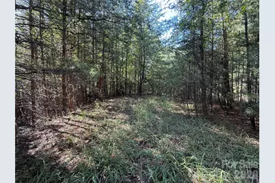 Tbd Wolf Pen Road #24, Purlear, NC 28665 - Photo 10