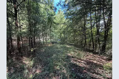 Tbd Wolf Pen Road #24, Purlear, NC 28665 - Photo 14