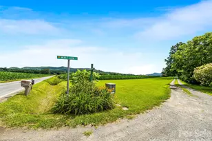 96 Merle Farm Ln, Pisgah Forest, NC 28768 - Photo 4