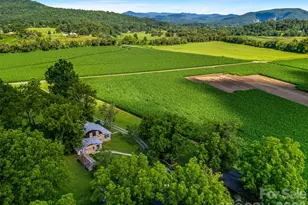 96 Merle Farm Ln, Pisgah Forest, NC 28768 - Photo 8