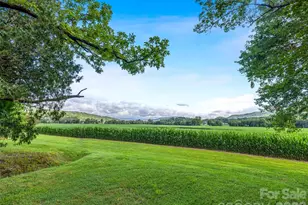 96 Merle Farm Ln, Pisgah Forest, NC 28768 - Photo 2
