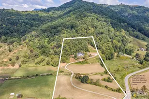3827 Liner Creek Rd, Clyde, NC 28721 - Photo 10