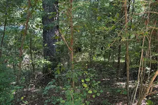 Tbd Bedford Creek Rd, Ellenboro, NC 28040 - Photo 1