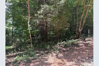 Tbd Bedford Creek Road, Ellenboro, NC 28040 - Photo 2