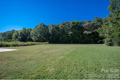 9613 Marvin School Road, Waxhaw, NC 28173 - Photo 42