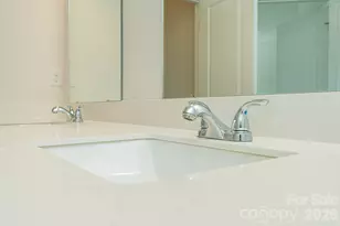 6116 Jasmine Br Rd, Charlotte, NC 28216 - Photo 28