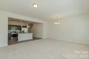 6116 Jasmine Br Rd, Charlotte, NC 28216 - Photo 18
