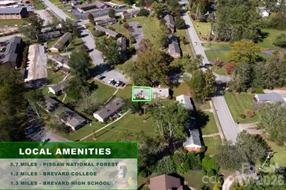 27 Trowbridge Lane, Brevard, NC 28712 - Photo 26