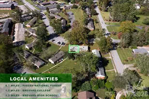27 Trowbridge Ln, Brevard, NC 28712 - Photo 26