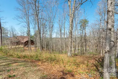 45 Sweet Fern Parkway #43, Asheville, NC 28804 - Photo 4