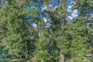148 Stradley Mountain Rd, Asheville, NC 28806 - Photo 34