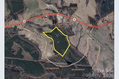 0000 Blair Hendrick Road, Mount Croghan, SC 29727 - Photo 2