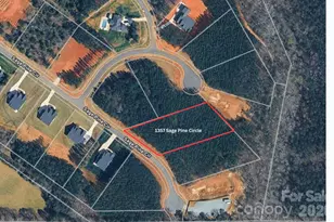 1357 Sage Pine Cir, Clover, SC 29710 - Photo 1