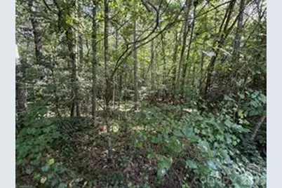 Lot 20 & 21 Zinzendorf Lane #20 & 21, Moravian Falls, NC 28654 - Photo 1