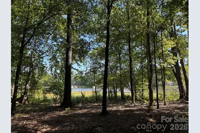 4501 Water Oak Drive, Clover, SC 29710 - Photo 8