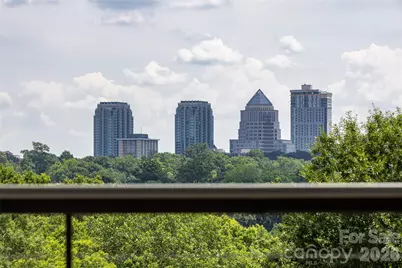 232 Flint Street, Charlotte, NC 28216 - Photo 36