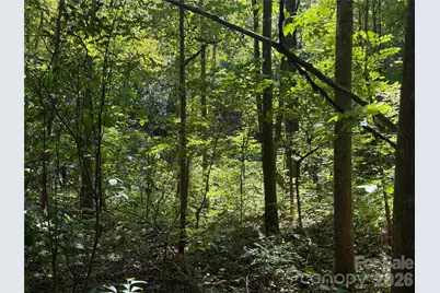 00 Camp Knob Road, Casar, NC 28020 - Photo 22