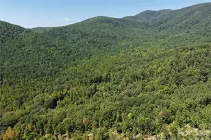00 Camp Knob Rd, Casar, NC 28020 - Photo 1