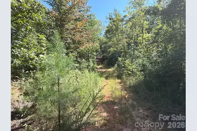 00 Camp Knob Road, Casar, NC 28020 - Photo 8