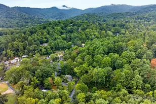 39 Spooks Branch Extension, Asheville, NC 28804 - Photo 36