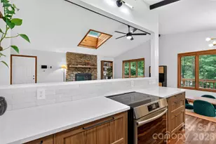39 Spooks Branch Extension, Asheville, NC 28804 - Photo 12