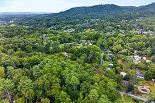 39 Spooks Branch Extension, Asheville, NC 28804 - Photo 34