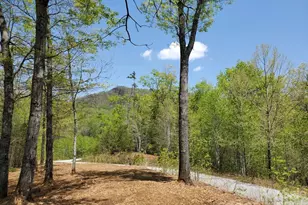 00 Wambli Pass, Lake Lure, NC 28746 - Photo 34