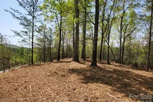 00 Wambli Pass, Lake Lure, NC 28746 - Photo 30