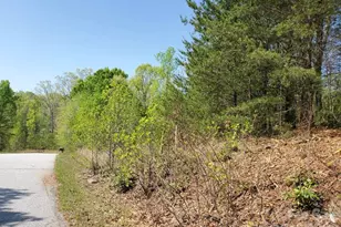 00 Wambli Pass, Lake Lure, NC 28746 - Photo 38